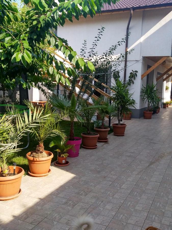 Vila Alexandra Appartement Eforie Nord Buitenkant foto
